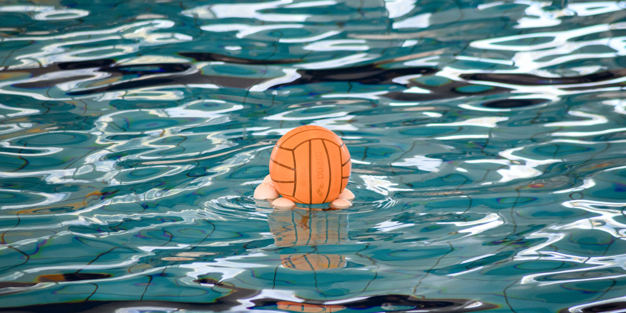 pallanuoto